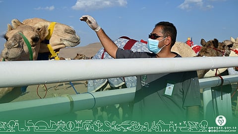 "وقاء" يُشارك بمهرجان كأس اللجنة الأولمبية العربية السعودية بتبوك