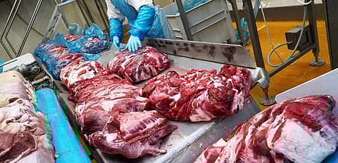 خبر سار لعشاقها.. دراسة: عنصر في اللحوم الحمراء ينشط المناعة ضد أحد أخطر الأمراض