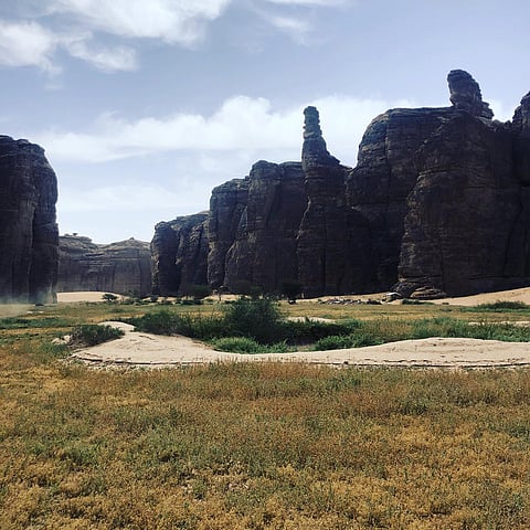 "ملكية العلا" تشارك في مبادرة "السعودية الخضراء" ومؤتمر "كوب 28"