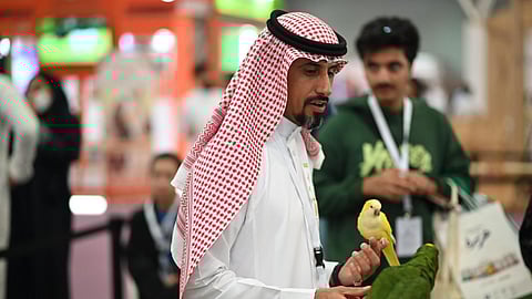 جمعية "رحمة" تكشف عن شروط تبني الحيوانات وتدعو المجتمع إلى المساعدة في رعايتها