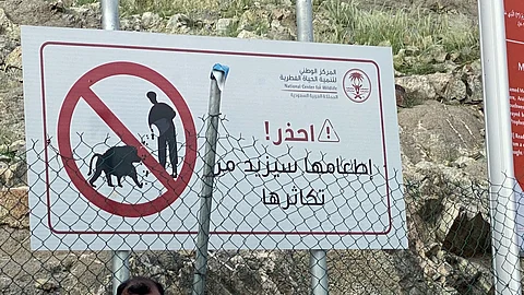 لم يخلُ من ظواهر سلبية.. شاهد "جبل النور بلا قرود" والخروج من عنق الزجاجة شاقّ!