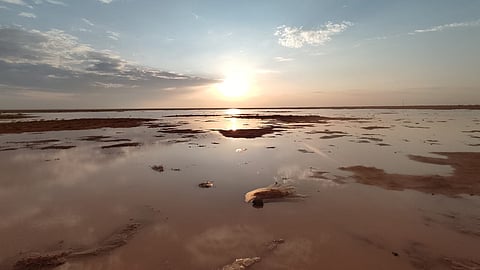 بالصور.. هطول أمطار متفرّقة على محافظات ومراكز الرياض والقصيم