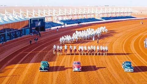 انطلاق مهرجان المؤسس للإبل في نسخته الثامنة.. ديسمبر المقبل