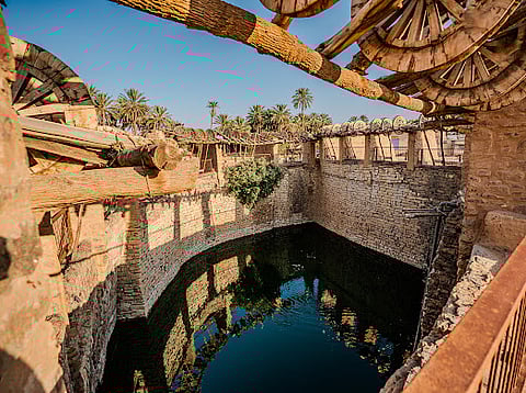 عرض مذهل ونحت وجولة.. "مساء جبل عكمة" تروي قصصًا عن نقوش العلا القديمة