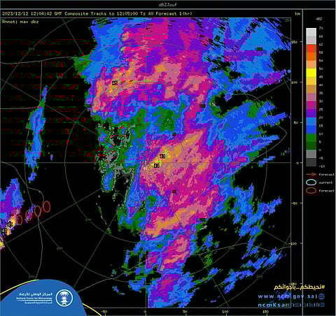 "الأرصاد": استمرار هطول الأمطار الرعدية على 5 مناطق
