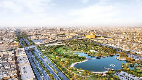 منذ إطلاق "السعودية الخضراء".. زراعة أكثر من 43 مليون شجرة في المملكة