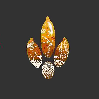 محمية الشمال للصيد المستدام توفر باقة جديدة للتخييم لمدة 3 أيام