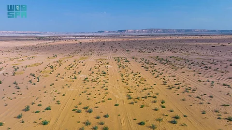 اكتمال زراعة مليون شجرة برية في روضة الخفس بمحمية الملك عبدالعزيز الملكية