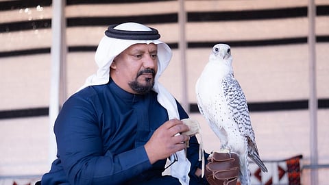 بالصور.. شبة وصقور وفعالية شعبية.. انطلاق كشتة البديع بالأفلاج