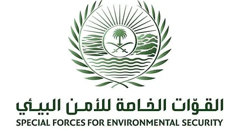 ضبط مواطن ومقيم بحوزتهما أكثر من 3م3 من الحطب المحلي في مكة