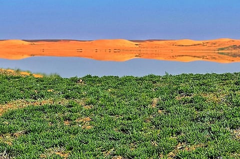 "الخنفة" بتيماء.. تكوينات رسوبية وألوان متدرجة ترسم لوحة بديعة تأسر عشاق الطبيعة