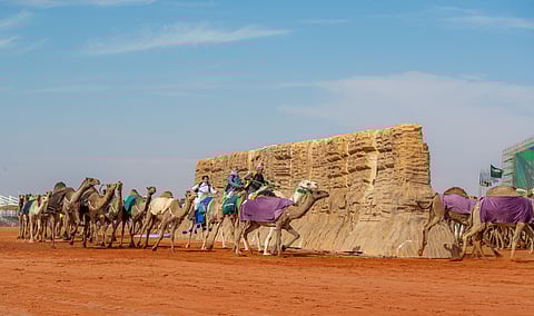 إدراج مسابقة "الطبع" ضمن مهرجانات "جادة الإبل".. والبداية من حائل