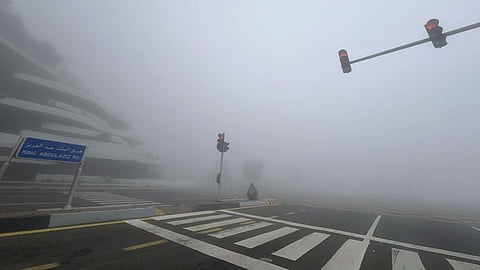 الضباب يحد من مدى الرؤية