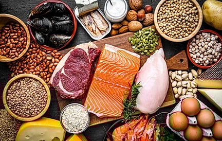 البروتين الحيواني أم النباتي.. أيهما أفضل للتحكم بالوزن؟