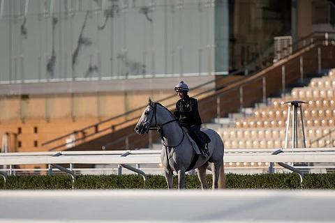 أنظار عشاق الخيل تتجه نحو الرياض استعداداً لانطلاق كأس السعودية 2024م