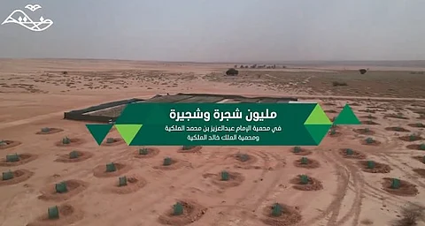 أكثر من مليون شجرة وشجيرة.. زرعتها هيئة تطوير محمية الإمام عبدالعزيز بن محمد الملكية
