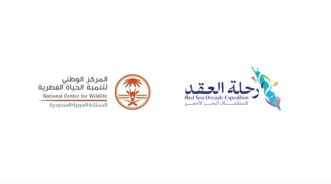 أثر البحث العلمي على الاستدامة البيئية.. رحلة العقد نموذجًا