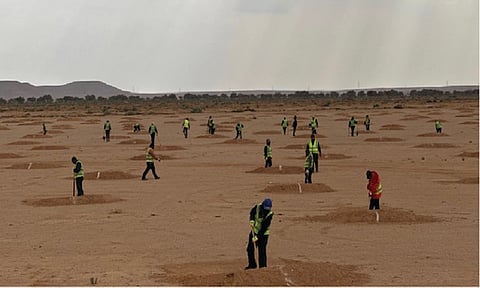 شاهد.. بدء أعمال التسوير وزراعة مليون شجرة في "محمية طويق"