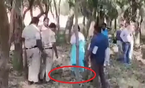 بالفيديو.. هندي دفع حياته من أجل صورة "سيلفي" مع أسد