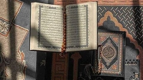 "وَإِنْ يَسْلُبْهُمُ الذُّبَابُ شَيْئاً لَا يَسْتَنْقِذُوهُ مِنْهُ".. إعجاز قرآني في وصف الذباب