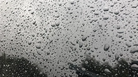 "مطرية جديدة" أكثر غزارة.. "العصيمي": تنطلق بعد غد وتشمل 8 مناطق