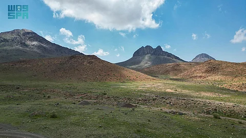 شاهد.. تباشير الربيع تبدأ بالظهور في فياض "الحرة" بتبوك