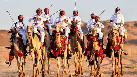 أهالي بادية تبوك يعايشون إرث مسيرة الهجانة كأحد مظاهر البهجة في العيد