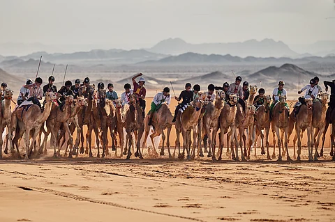 كأس العلا للهجن... تجربة استثنائية تجمع بين التفوق الرياضي والتجارب الثقافية والتراثية الأصيلة