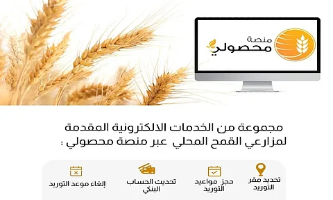 "الأمن الغذائي": جاهزون لبدء استلام القمح المحلي للموسم الحالي