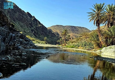 شاهد.. جريان وادي حورة بمكة المكرمة يجذب الأهالي للتنزه على ضفافه