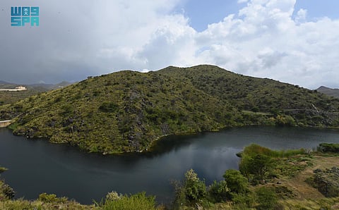 تلتحف بالضباب وتغزل لوحات خلابة.. "أحزمة خضراء" تمتزج بسهول عسير وجبالها