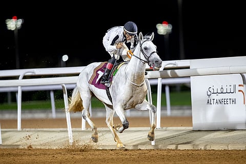 ينطلق 4 يوليو.. موسم سباقات الخيل بالطائف 2024 يشهد جملة من التحسينات