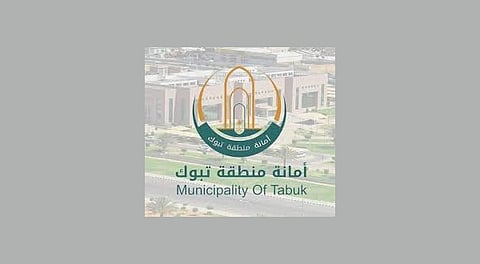 تبوك.. إطلاق خدمة تصريح اللوحات الإعلانية المؤقتة