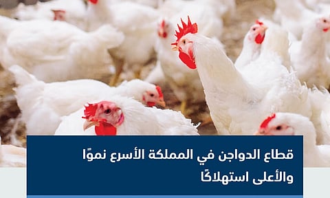 يحقق "68%" من الاكتفاء الذاتي.. صورة رقمية لـ"قطاع الدواجن بالمملكة" تبرزها "الزراعة"