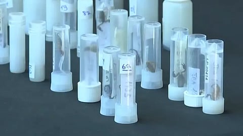 عملية الاحتجاز تمت في مطار إسطنبول