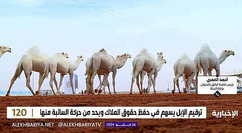 "العمري": إيذاء الحيوانات جريمة عقوبتها تصل للسجن 5 سنوات وغرامة 10 ملايين