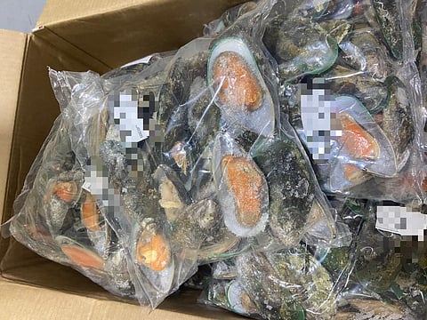 ضبط منشأة زوّرت صلاحية 264 طن مأكولات بحرية.. وإحالة 13 عاملًا مخالفًا إلى النيابة العامة