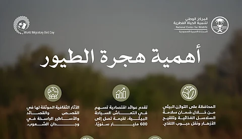 ثقافيًّا واقتصاديًّا وسياحيًّا.. فوائد عدة لهجرة الطيور يبرزها "الحياة الفطرية"