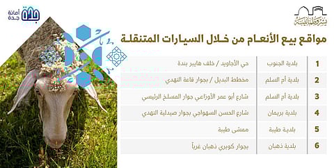 أمانة جدة توضح: 6 مواقع لبيع الأنعام بالسيارات المتنقلة خلال موسم الحج.. تعرّف عليها