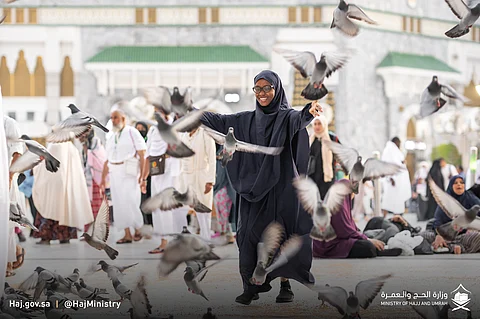 "حَمَام الحرَم".. مشهد يُضفي على المكان سِمة مميزة ويحكي عن الطمأنينة