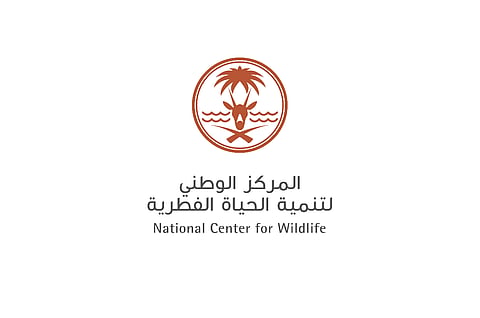 لضمان خلوّ المواقع من قرود البابون.. "الحياة الفطرية" يشارك ميدانيًّا في خدمة الحجاج