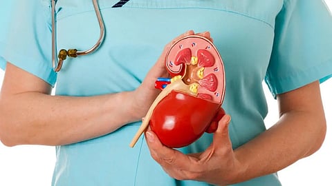 تعرّف على 4 أعراض خطيرة لسرطان الكلى