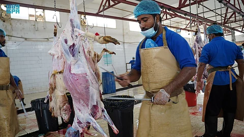 وقت قياسي ورقابة.. ذبح وتجهيز 5788 رأسًا من الأضاحي بـ"مسالخ جازان" أول أيام العيد
