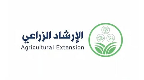 "الإرشاد الزراعي": "المجاهيم" من أشهر "سلالات الإبل" التي تنتشر في المملكة