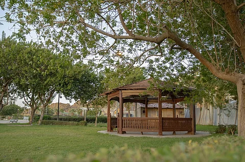 8 ملايين م2.. "أمانة الطائف" تعزز جهودها في زيادة المسطحات الخضراء لتحقيق الاستدامة البيئية
