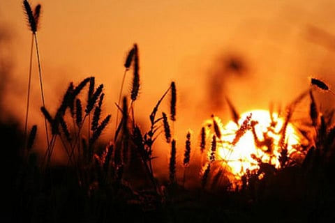 السودة 14.. "الأحساء وحفر الباطن" تسجلان أعلى درجة حرارة بالمملكة 47 ْمئوية