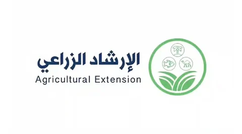 تكييس العناقيد متأخرة النضج ومكافحة الآفات.. "الإرشاد" ينصح مزارعي العنب