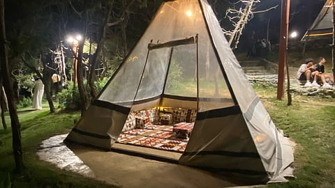 "غابة رغدان".. وجهة سياحية ومشاهد طبيعية مميزة تجتذب محبي التخييم والزوار