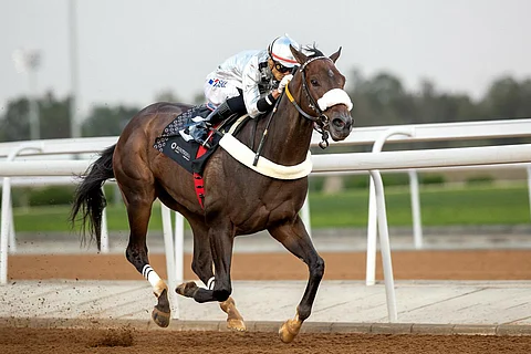 ترقب محلي وخليجي كبير من عشاق سباقات الخيل.. انطلاق منافسات المصيف بالطائف