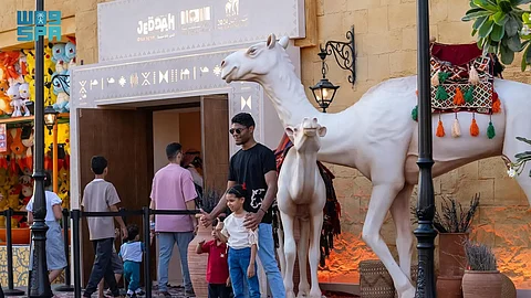 مبادرة "عام الإبل" في موسم جدة.. تاريخ وثقافة وماضٍ أصيل